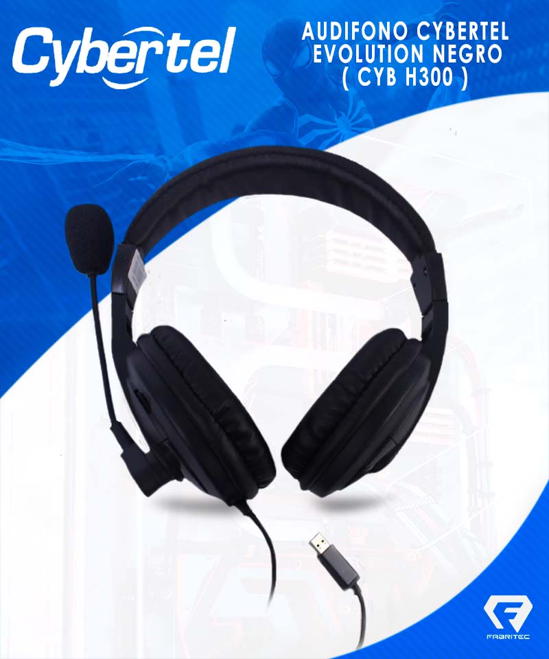CYB H300