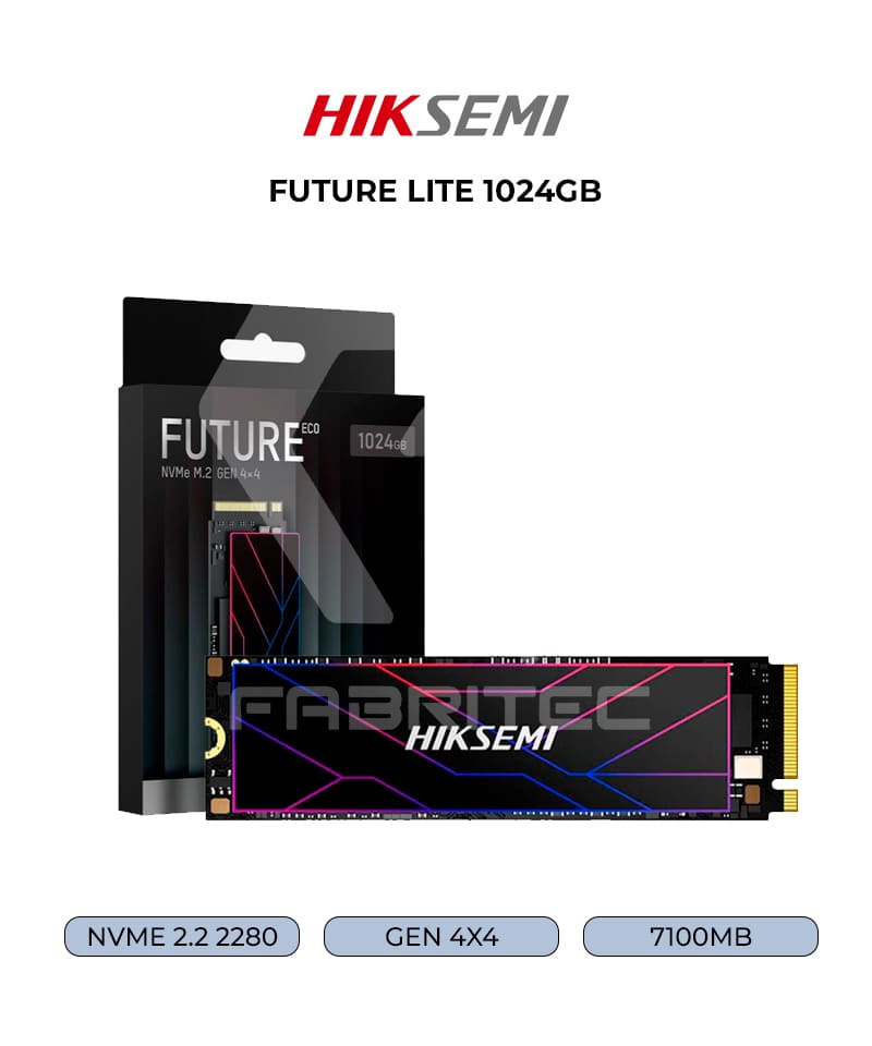 HS-SSD-FUTURE LITE 1024G