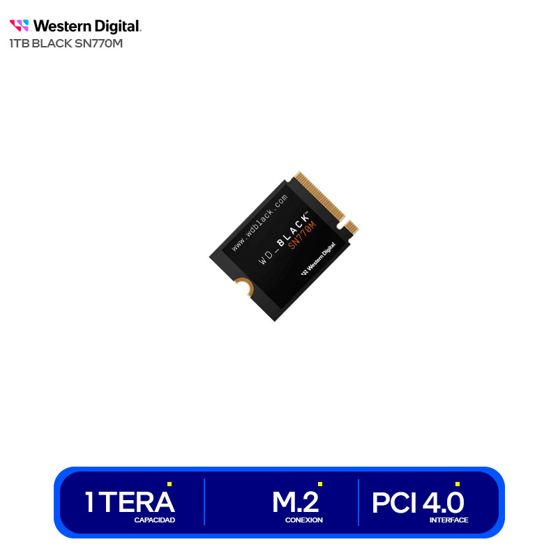 WDS100T3X0G
