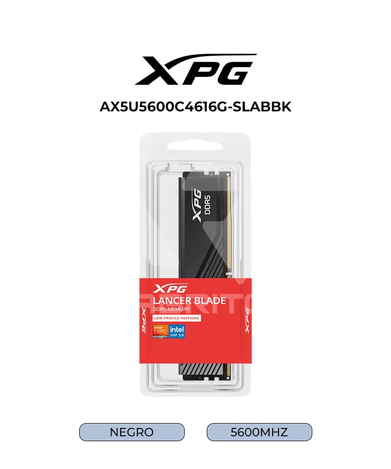 AX5U5600C4616G-SLABBK