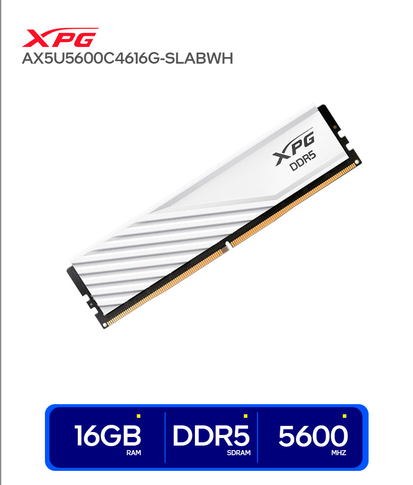 AX5U5600C4616G-SLABWH
