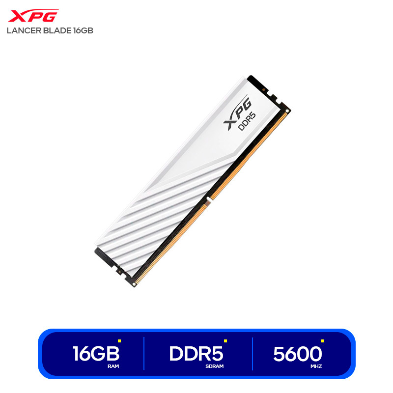 AX5U5600C4616G-SLABWH