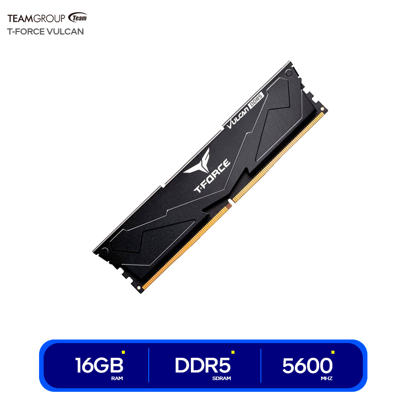 ( FLBD516G5600HC36B01