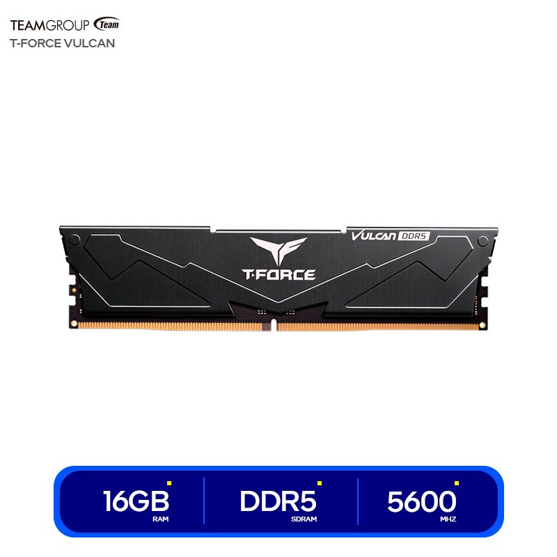 ( FLBD516G5600HC36B01