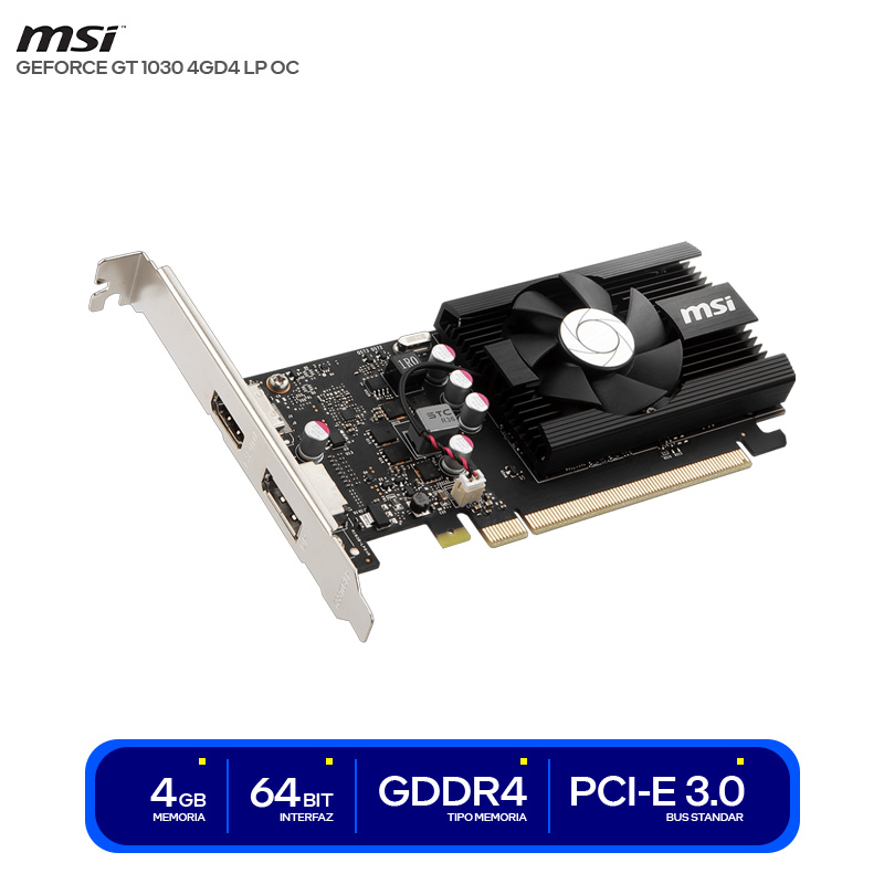 ( GT 1030 4GD4 LP OC )