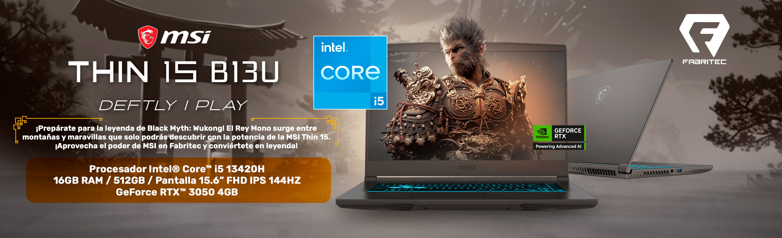 BANNER MSI THIN