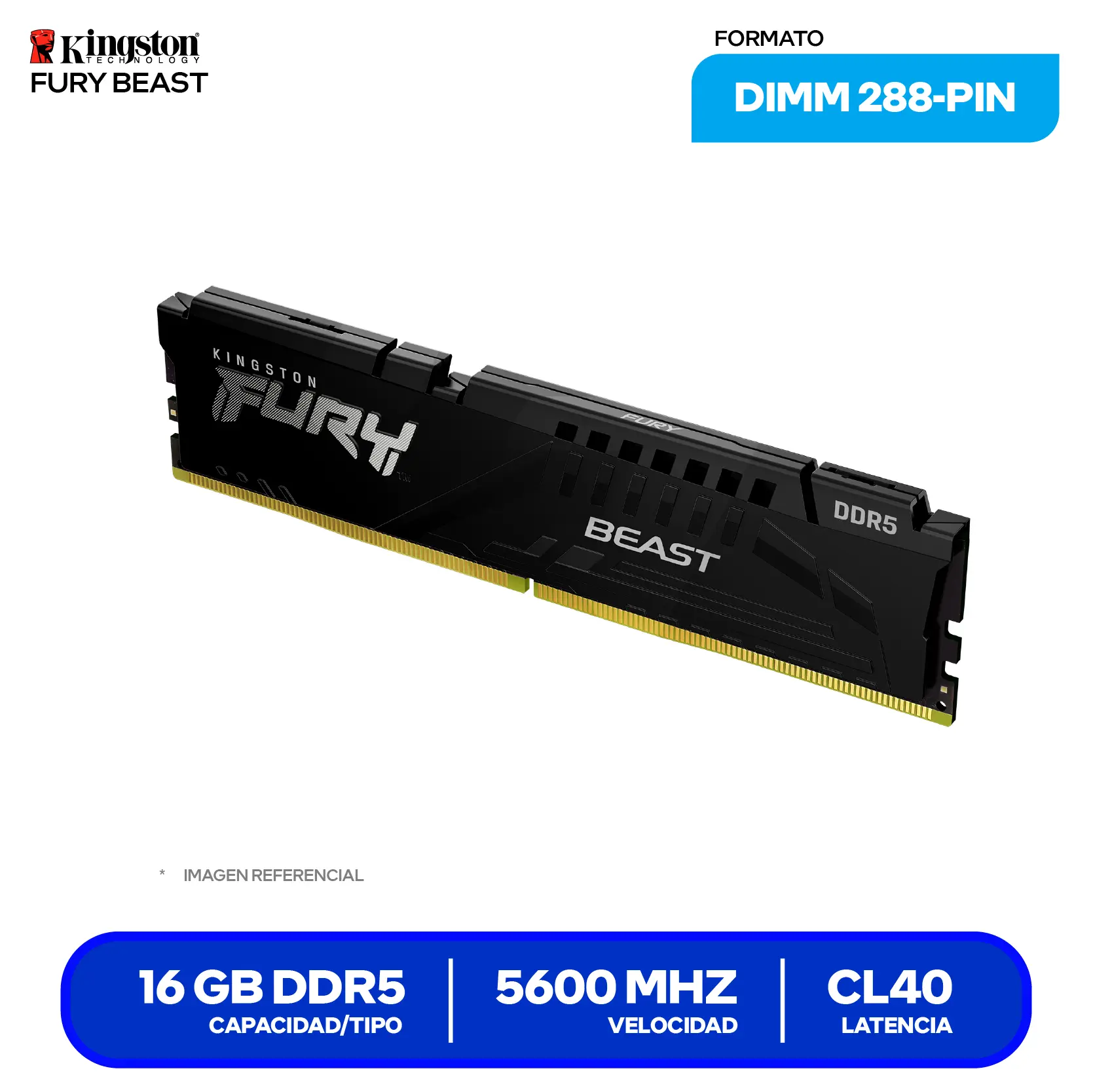 Memoria UDIMM Kingston Fury Beast (KF556C40BB-16) 16GB, DDR5, 5600 MHz